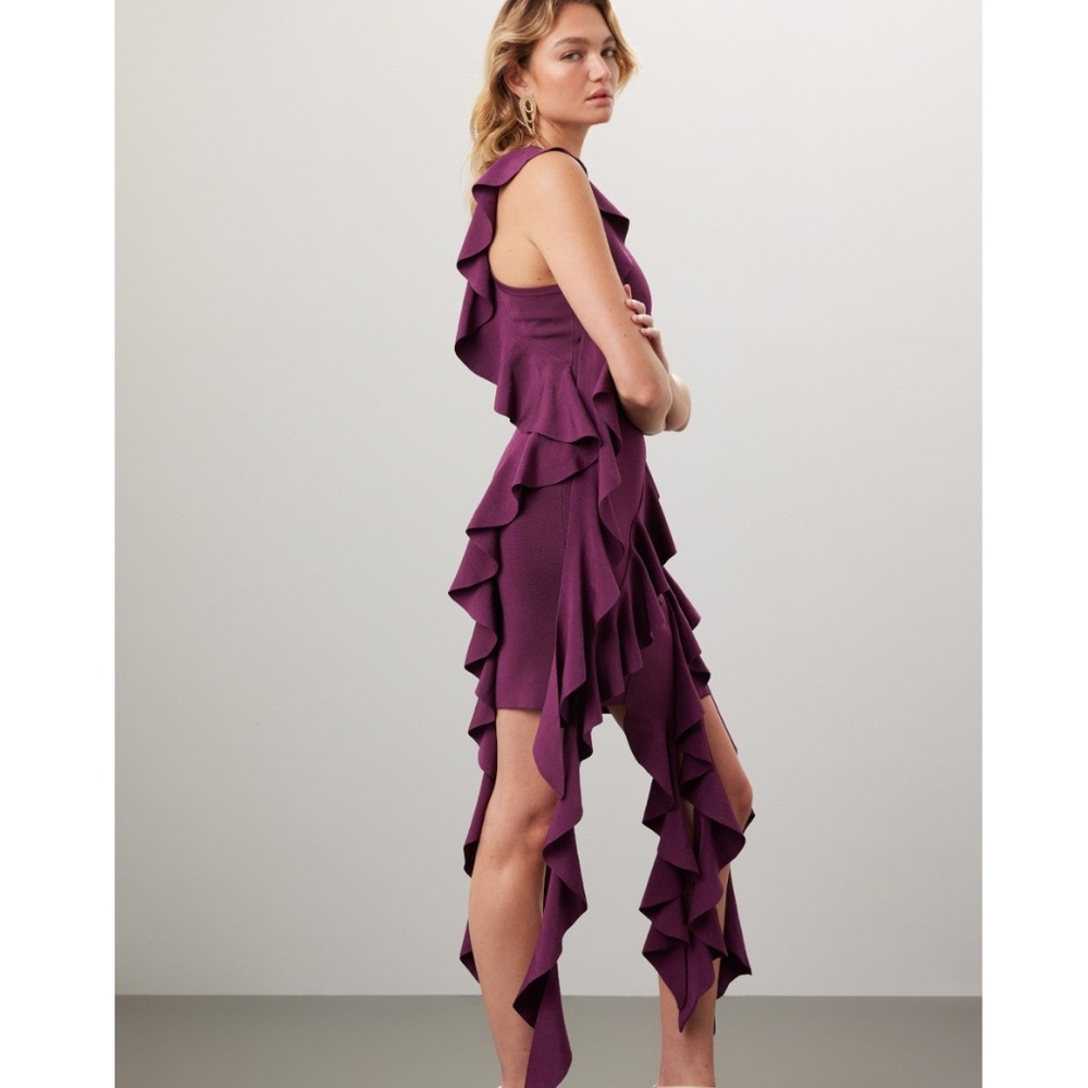 SIMKHAI Knit Ruffled Dress - Picture 5 of 5